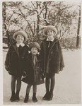 Three Jewish sisters pose outside in the snow.

Pictured are Trudel, Miri and Emmi Farntrog.