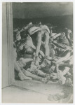 Corpses piled in the mortuary below the crematorium.
