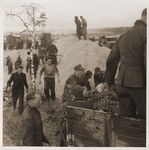 Former SS guards prepare corpses for burial in a mass grave.