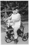 Portrait of a little Jewish boy riding a tricycle.
