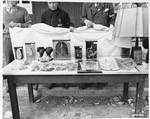 An exhibit of human remains and artifacts retrieved by the American Army from a pathology laboratory run by the SS in Buchenwald.
