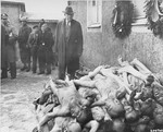 U.S. Senator Alben W. Barkley of Kentucky, a member of a congressional committee investigating Nazi atrocities, views evidence in Buchenwald.