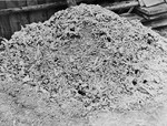 A heap of ashes and bones shoveled out of the crematoria ovens in Buchenwald concentration camp.