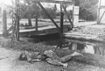 The body of an SS guard lies next to the moat in the Dachau concentration camp.