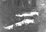 The bodies of Romanian Jews who died on one of two death trains that left Iasi on June 30, 1941.