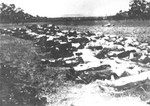 The bodies of Romanian Jews who died on one of two death trains that left Iasi on June 30, 1941.
