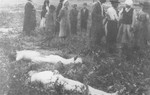 Civilians walk among the bodies that have been removed from the Iasi death train.