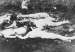 The bodies of Romanian Jews who died on one of the Iasi death trains.