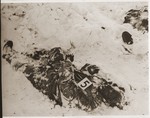 The corpse of an American soldier killed by the SS in the Malmedy atrocity.