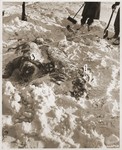 American soldiers remove snow from the corpses of U.S.