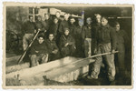 Group portrait of British POWs in Stalag IV A, Elsterhorst.