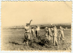 Members of Kibbutz Givat Brenner work in the fields.