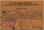 Verso of a Hungarian identification card.