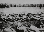 A column of Soviet POWs stands a short distance away from a large number of corpses laid out in rows in the open air.