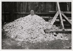 View of a pile of human remains found in Buchenwald concentration camp.