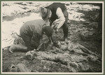 Under the supervision of British troops, German civilians and Nazi officials exhume the corpses of 243 slave laborers for proper reburial.