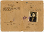 Identification card for former Exodus passenger Malka Herskovitz.