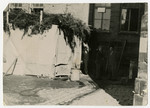 View of a sukkah [tabernacle] in the Bamberg displaced persons camp.