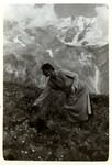 A woman picks flowers in the mountains.