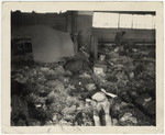 Corpses of victims lie on the straw floor of a barrack of the Nordhausen concentration camp.