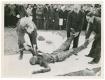 German civilians rebury the exhumed corpses of Russian prisoners.