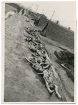 Corpses lie outside the barrcks of the Hurlach sub-camp.