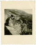 Freddy Gray (Manfred Gans) sits on a brick wall overlooking a wooded hill.