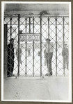 Survivors stand behind the main gate of the Buchenwald concentration camp with a sign that reads Jedem das Seine, "To Each What is His."

Louis Fynaut  is the man on the front, right side of the picture.
