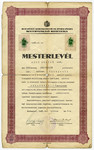 Document certifying that Zoltan Gero qualified as a master printer.