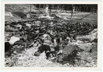 The bodies of burned prisoners lie in the rubble of the barracks at Landsberg.