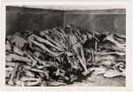 Pile of deceased prisoners in the Dachau concentration camp, found near the crematorium.