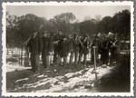 Jewish workers from the Lipa farm labor camp line up with their shovels in Cervene Pecky where they were allowed to work for a week in the spring of 1942.