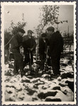 Four Jewish workers from the Lipa farm labor camp dig in the snow in Cervene Pecky where they were allowed to work for a week in the spring of 1942.