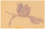 Color child's drawing of a purple flower in Chateau de la Hille.