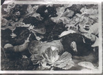 A female corpse lies among some plants in the Klooga camp following liberation.