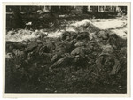 View of a pile of corpses of former prisones of war.