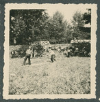 American prisoners play softball on the grounds of the Tittmoning camp while two armed guards watch from behind the hedge.