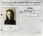 Identification card issued by the Coordinatsia Committee issued to Wanda (Tammy) with the mistaken year of birth of 1942.