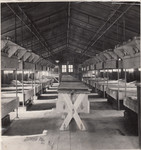 Interior view of a barracks of a forced labor camp in Hajduhadhaz.