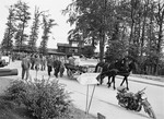 Former prisoners of Buchenwald follow a horse-drawn cart carrying caskets down a street outside the camp.