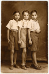 Studio portrait of three Slovak Jewish boys.

Richard Brand, the brother of the donor, is pictured in the center.