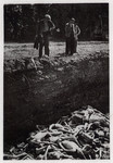 Members of the 843rd Aviation Engineers of the US Army find a pit of victims shortly after the liberation of Dachau Concentration Camp.