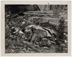 A pile of corpses is mounted on top of the rubble in the Nordhausen concentration camp.