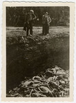 Three men peer into a large mass grave filled with the naked corpses [probably of victims from Dachau].