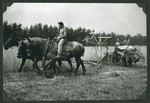 A farmer works a field in Kibbutz Buchenwald.

The original caption says: "Kibbutz Buchenwald.
