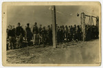 A group of prisoners in uniform stand behind a barbed wire fence [probably in the Dachau concentration camp].