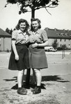 Two young women pose in front of a tree in the Bergen Belsen displaced persons camp.