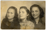 Postwar portrait of three Jewish sisters.

Pictured from left to right are Esther Ass, Chana Chamanovitch (an orphan who was unofficially adopted by the Ass family after the war) and Itke Ass.