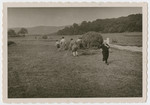 Photograph of extended Isenberg family harvesting hay.
