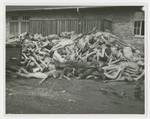 Corpses stacked outside the Dachau crematorium, with [what looks like a German guard] lying in the front.